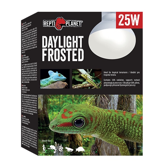 Rp Bulb Daylight Frosted 50W