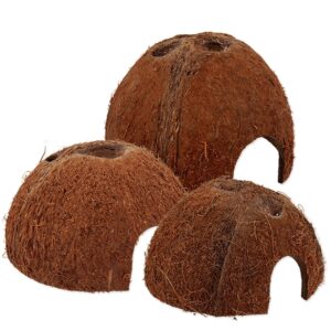 Rp Coco Shell Med
