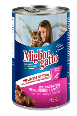 Miglior Gatto Cat Tin Chunks Wild 405Gr
