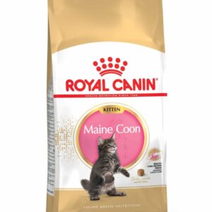 Royal Canin Cat Mainecoon Kit 2Kg