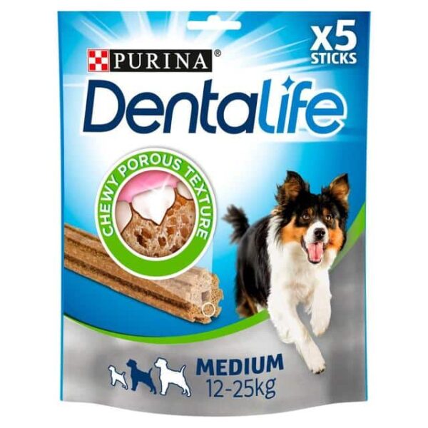 Dental Life Medium