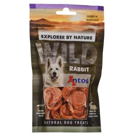 Wild Rabbit