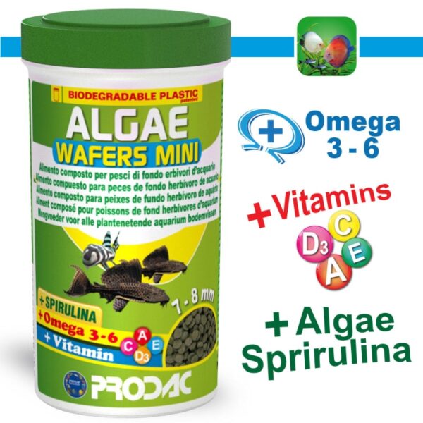 Prodac Algae Wafer Mini 250Ml