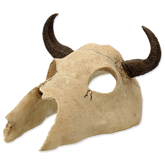 Rp Sml Buffalo Skull 12.5 X 11.8 X 8Cm