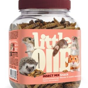 Little One Snack Insect