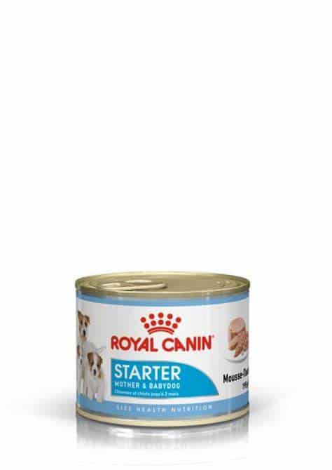 Royal Canin Dog Starter Mousse 195Gr