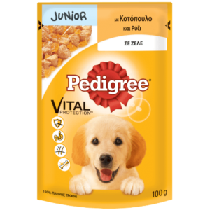 Pedigree Pouch Junior Chic And Rice 100G