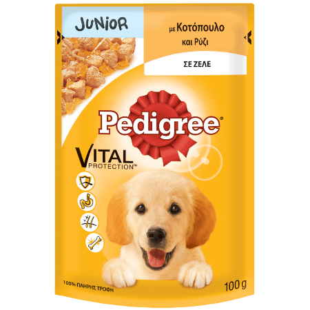 Pedigree Pouch Junior Chic And Rice 100G