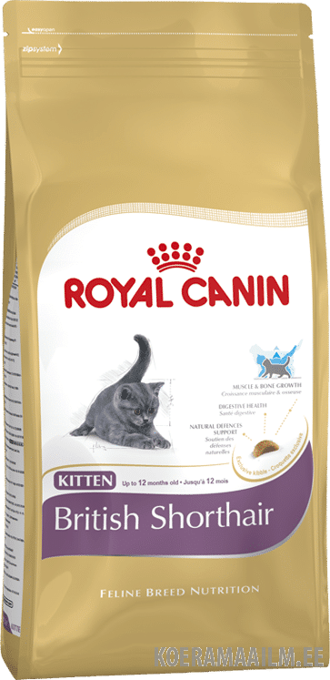 Royal Canin Cat British Shorthair 2Kg