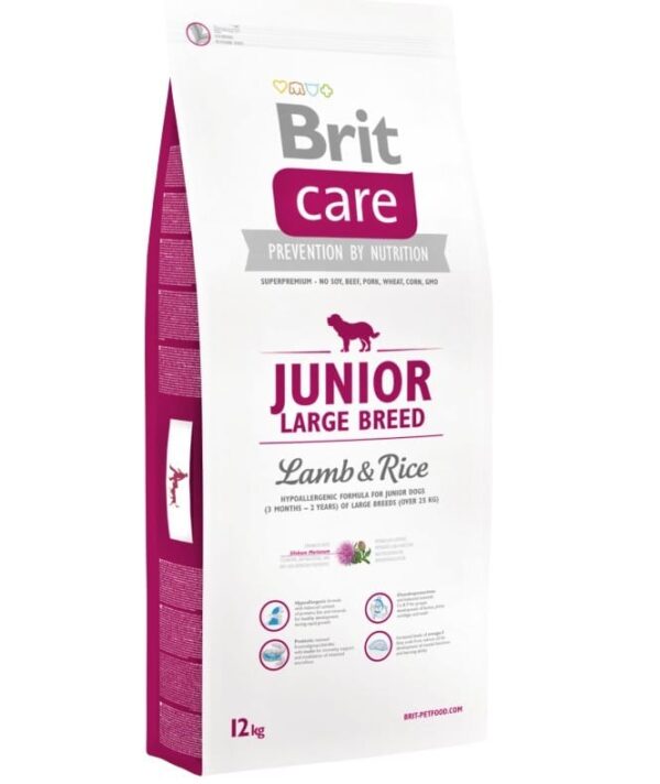 Brit Dog Dry Junior Large Br Salmon 12Kg