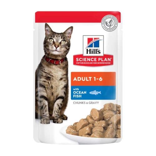 Hills Science Plan Feline Adult Ocean X1