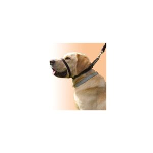 Canny Collar Size 5