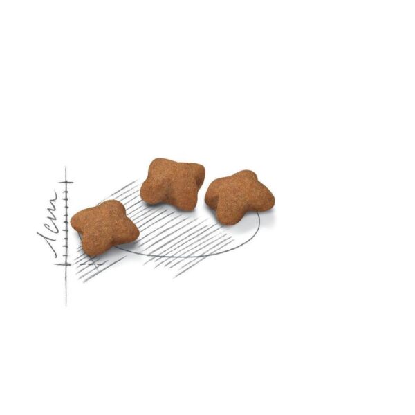 Royal Canin Cat Kitten  Sterilized 3.5Kg