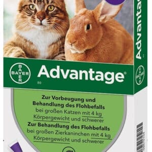 Advantage Cat 80 X 4 Pipp Over 4Kg