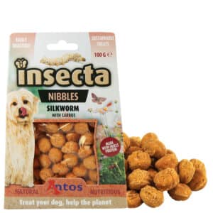 Antos Insecta