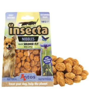 Antos Insecta