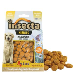Antos Insecta