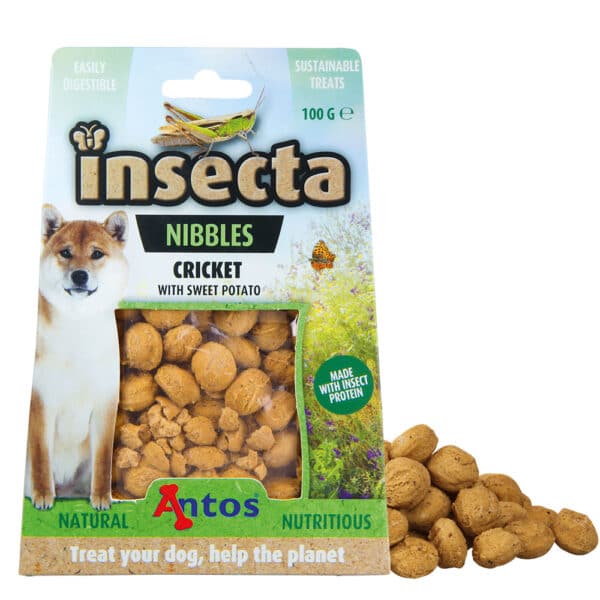 Antos Insecta