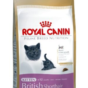 Royal Canin Cat British Short Hair 2Kg