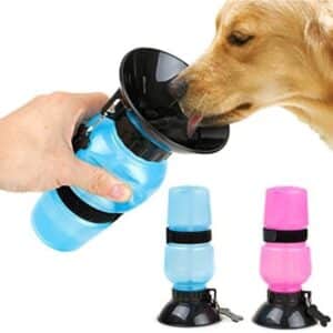 Squeeze Bottle