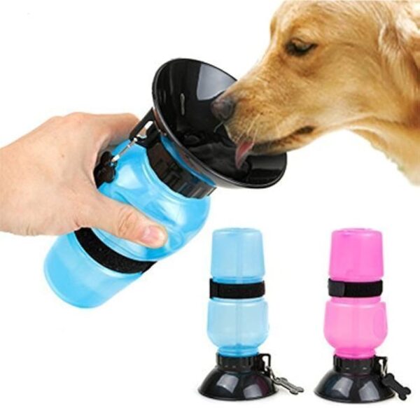 Squeeze Bottle