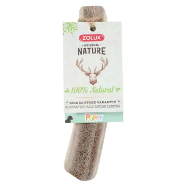 Zolux Puppy Antler