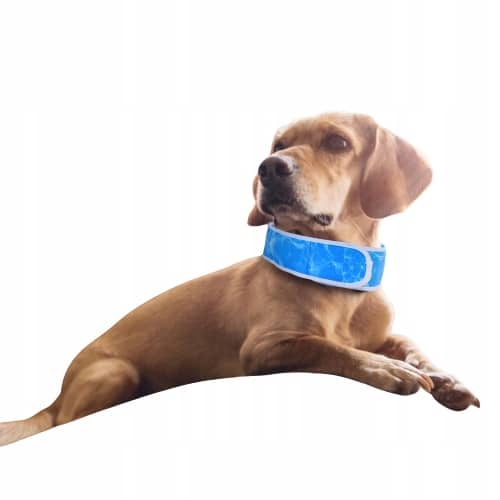 Cooling Collars 76X7Cm Xl