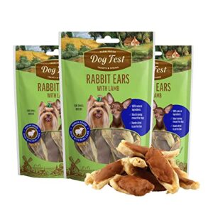 Rabbit Ears With Lamb 55G