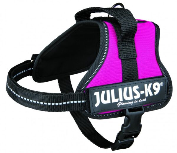 Julius K9 Mini 40-53 Cm