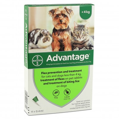 Advantage Cat 40 X 4 Pipp Under 4Kg