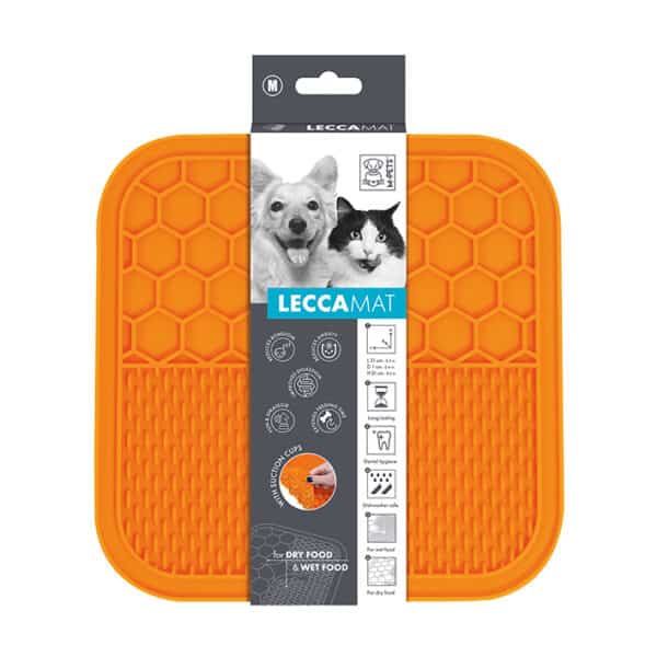 Mp Lecca