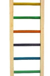LADDER