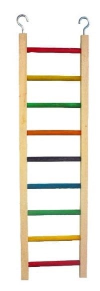 LADDER